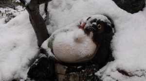 A racoon figure being buried by snow