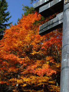 Futaransan shrine southside torii