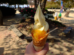 Mandarin fruit ice cream