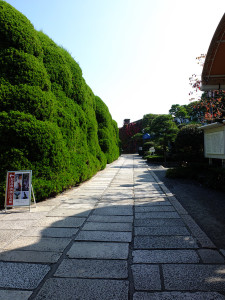 Kurashiki ivy square
